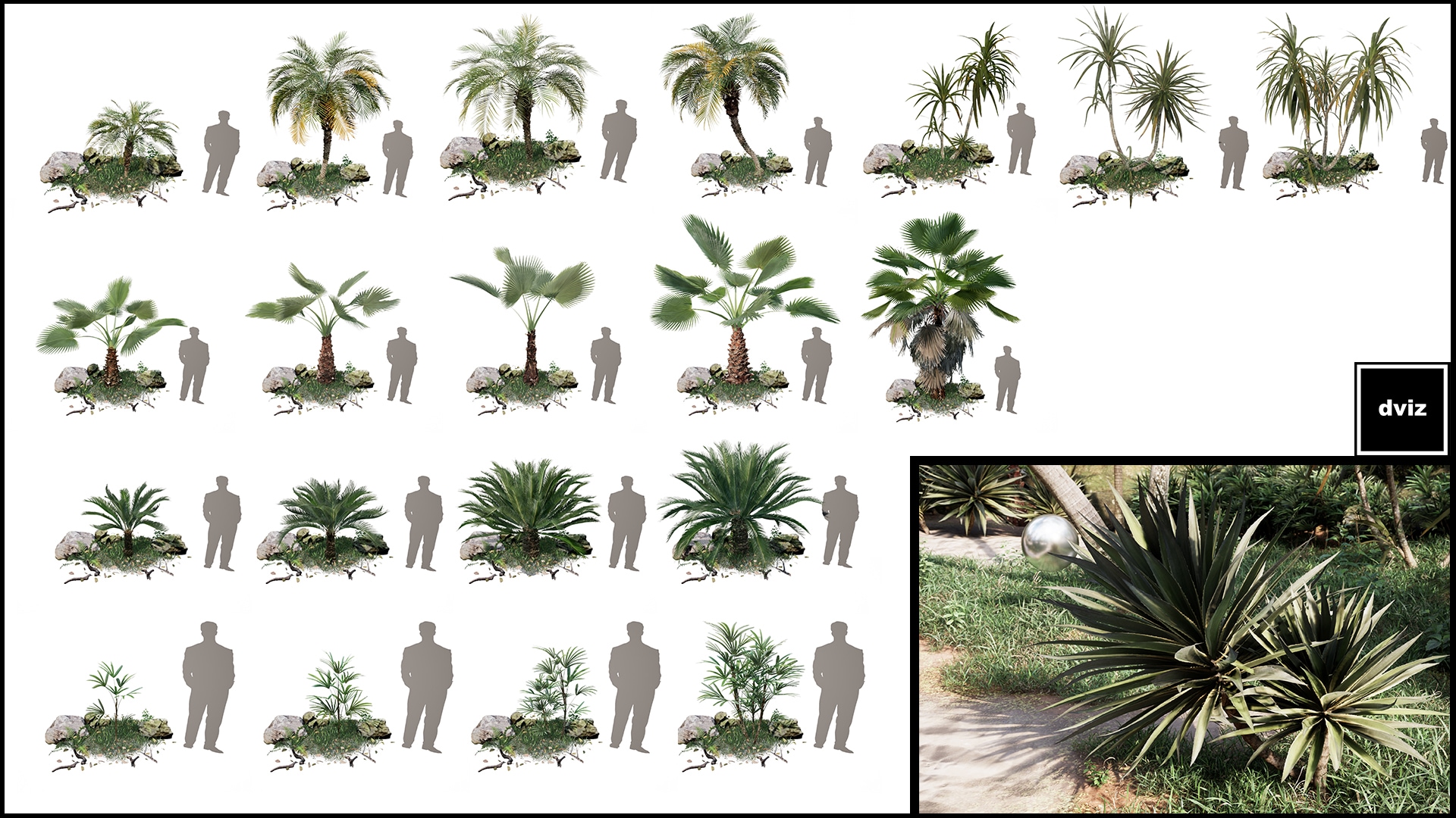 Realistic PALM TREE GRASS PLANTS in Props UE Marketplace
